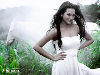 Free Games Wallpapers: Sonakshi Sinha Wallpapers   Download ...