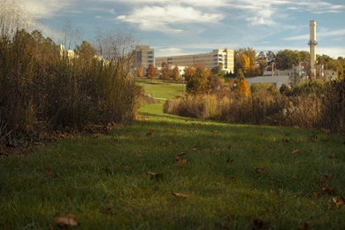 Share Your JMU Wallpaper/Request : Jmu