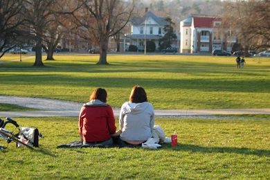 File:JMU Quad Showing Now demolished Buildings On South Main ...