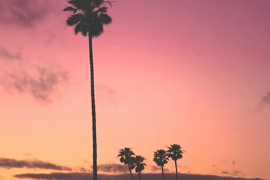 Tumblr Wallpapers Iphone 6 2   HD Widescreen Wallpapers