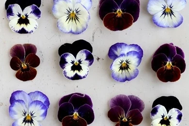 15 Beautiful iPhone Wallpapers Ideas From Pinterest