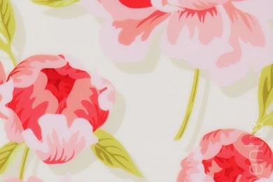 Floral Iphone Wallpapers Pinterest