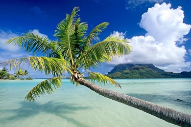 TIME TO RELAX IN FIJI WALLPAPER   (