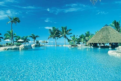 Summer Season Wallpapers   Crazy Frankenstein