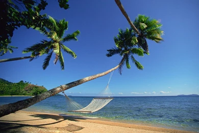 Nature: Hammock By The Sea, Fiji, Picture Nr. 39995
