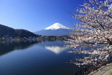 MOUNTAIN FIJI IN JAPAN WALLPAPER   (