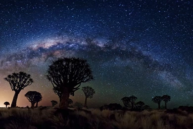 Milky Way Over Quiver Tree Forest, Space, Nasa, Galaxies, Stars ...