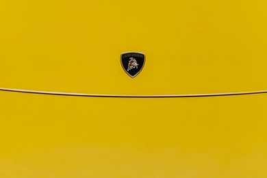 Download Wallpapers 1080x1920 Lamborghini, Murcielago, Hood, Yellow ...