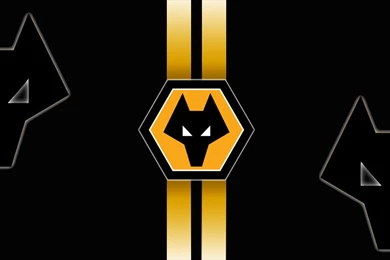 Wolverhampton Wanderers Fc   (