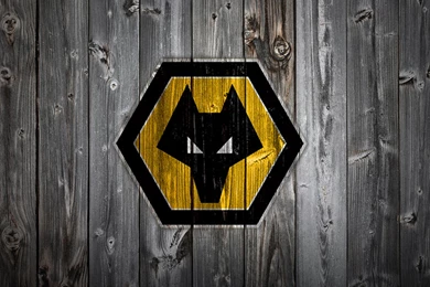 Desktop White Peacock Photos 3d Hd Pictures.