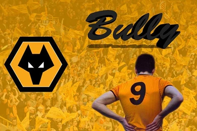 Bully Wolves Fc   (