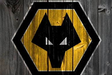 Wolverhampton Wanderers Wood iPhone 4 Backgrounds