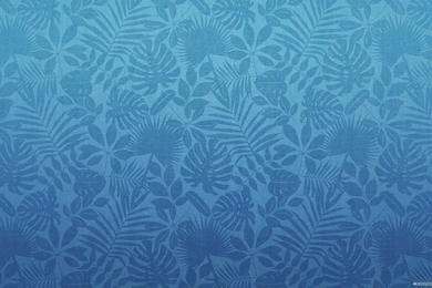 Fonds Dcran Mac Os X Lion Tous Les Wallpapers Mac Os X Lion