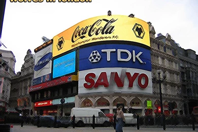 Wolves   Wolves Wallpapers