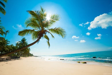 Caribbean Beach HD Wallpapers   IHD Wallpapers