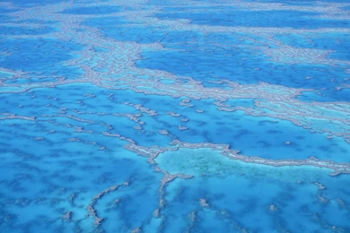 Shallow Water Coral Reefs MAC OS X Mountain Lion HD Wallpapers ...