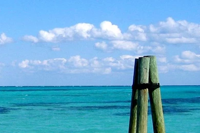 Caribbean Poles iPhone 5 Wallpapers (640x1136)