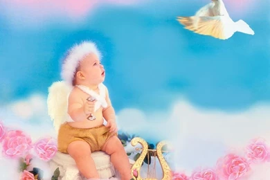 Baby Angels Wallpapers 2 Baby Angel Wallpapers