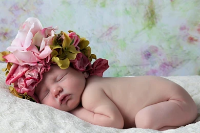 Baby, Wings, Angel, Bedroom, Studio, Funny, Moment, Photo