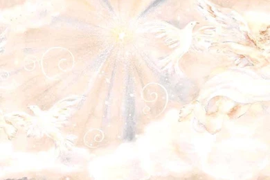 Baby Nursery Kids Wallpapers Borders Wallpapers Borders   Interior ...