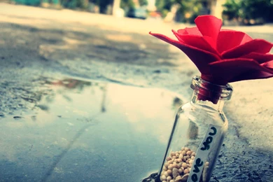 421 Love HD Wallpapers