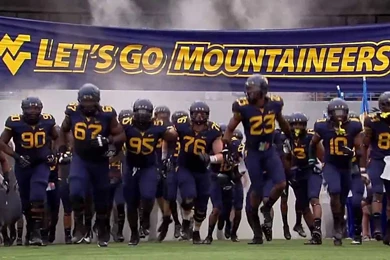 WVU Mountaineer Football   Bing Images