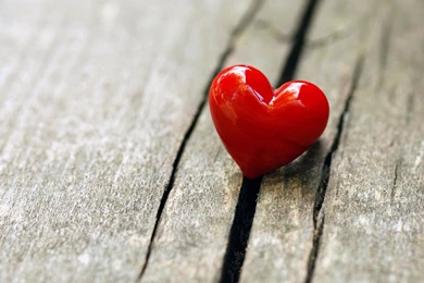 Brick Love Photography Wallpaper Images HD Fre