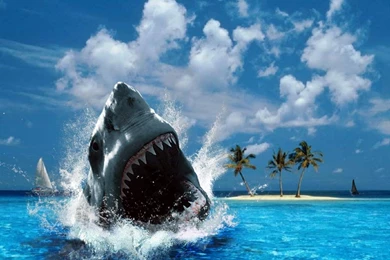 New Wallpapers   HD Wallpapers Pretty