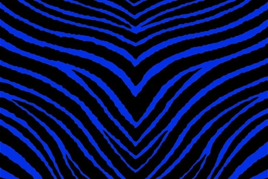 Blue Zebra Wallpapers   All Wallpapers New