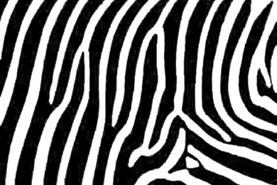 Fabulous Simple Blue Zebra Animal Print Wallpaper Backgrounds ...
