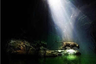 Top PC Wallpapers   Desktop Backgrounds