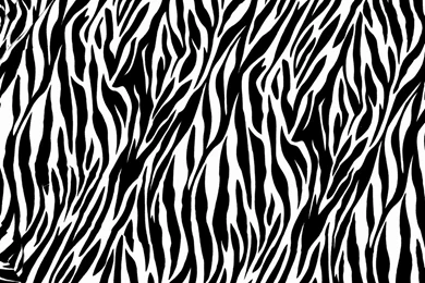 Wallpapers Zebra Pattern Skin Backgrounds Pictures 4042