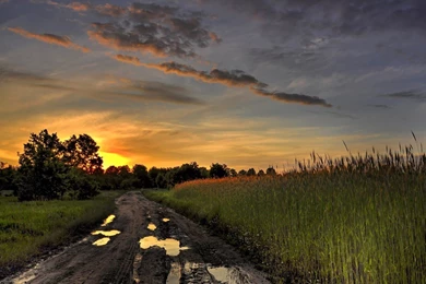 Mud Desktop Wallpapers   HD Wallpaper Backgrounds Of Your Choice