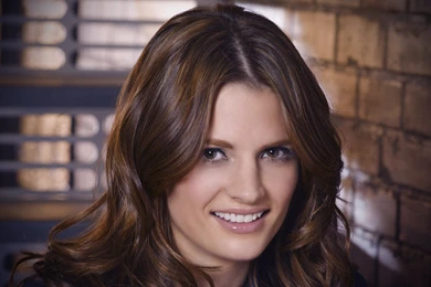 Stana Katic HD Wallpapers