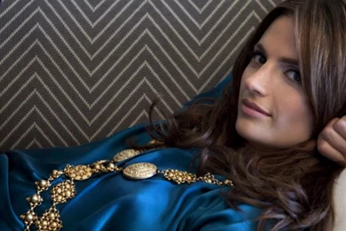 Stana Katic HD Images