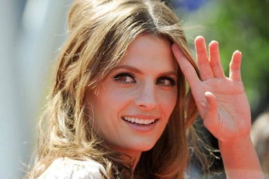 Wallpapers Stana Katic Celebrities Image