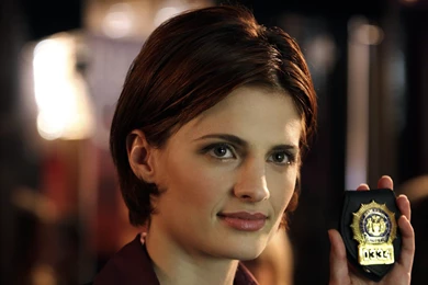 Stana Katic Actress Wallpapers 4552 1920x1200   UMad.com