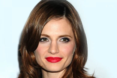 Stana Katic Wallpapers 1024x768 Wallpapers, 1024x768 Wallpapers ...