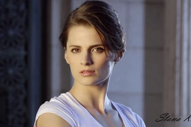 Stana Katic Hd Wallpapers Free Download