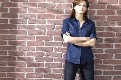 Stana Katic Wallpapers