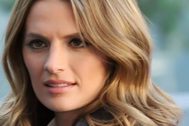 Stana Katic Castle   Wallpaper.