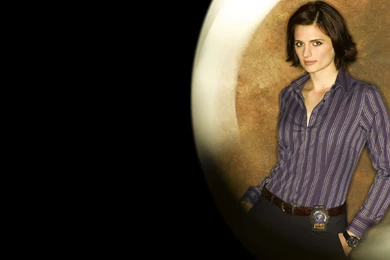 Stana Katic Wallpapers 4 Free Download