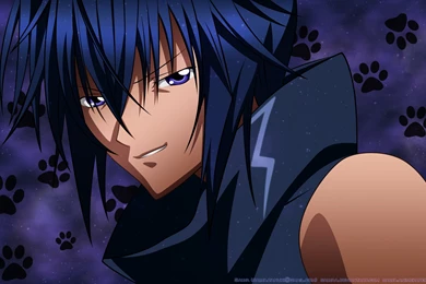 Beware Of The Evil Kitten, Ducks.   Ikuto Tsukiyomi Wallpapers ...