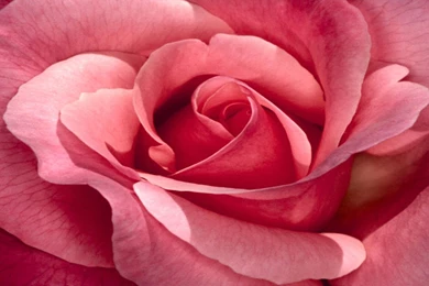 Free Pretty Backgrounds   Wallpapers Cave