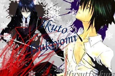 Ikuto   Ikuto Tsukiyomi Wallpapers (27889394)   Fanpop