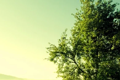 LG G4 Beat Wallpaper: Nature Scenery Android Wallpapers Mobile ...