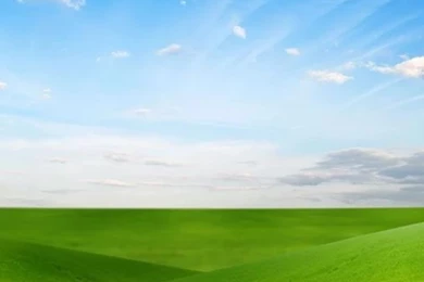 Live wallpapers for android nature 4.jpg