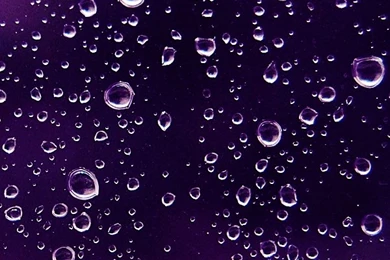 Purple Rain Wallpapers   Bing Images