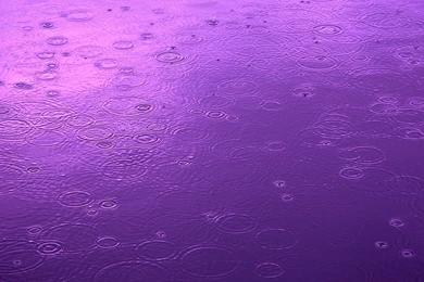 66 Raindrop HD Wallpapers