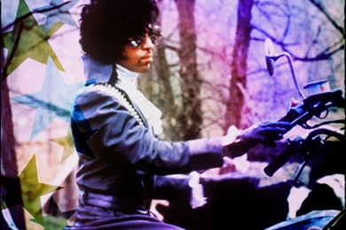 Purple Rain ☆   Purple Rain Wallpapers (35240872)   Fanpop